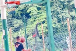 🤭看得出来没有对前路的迷茫，只有对进球的渴望🏀...